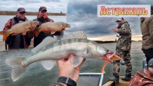СУДАК, ЩУКА, САЗАН - это Астрахань!/ рыбалка и отдых в Астрахани!