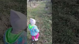 Прогулка на Природе 🌳🏠🌲WALK In The  WILDERNESS