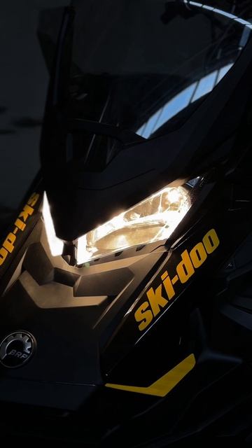 Ski-Doo Tundra 600 ACE