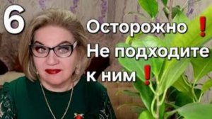 Осторожно❗️ Не подходите к ним❗️