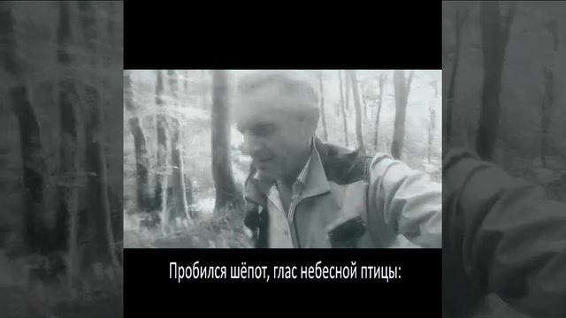 Дорога домой Сергей Марамзин.mp4 смотреть онлайн