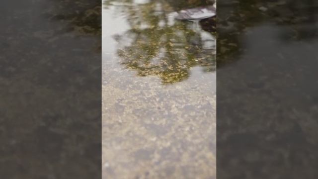 Я не могу быть с тобой. #клип