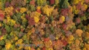 О , Господи, какая красота. Я Восхищаюсь . Христианская песня