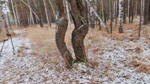 Очень странное место