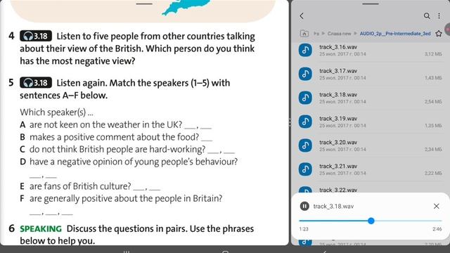 Solutions Pre-Intermediate Student's Book audio 3.18 смотреть онлайн