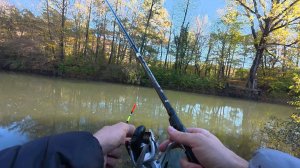 Рыбалка на реке Пшиш — Неожиданный улов!