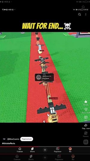 SVID_20251111_095806_1.mp4