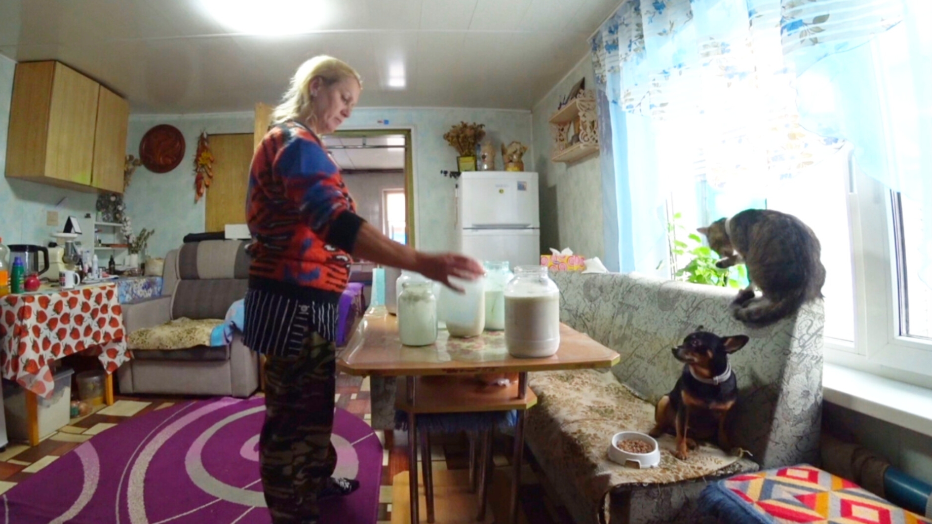 Жизнь простой семьи на Алтае,А на ужин Бамбук смотреть онлайн