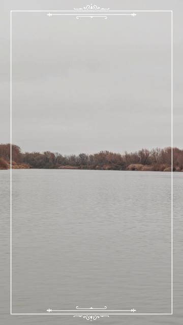 Рыбалка на Дону 11.11.25