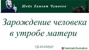 Зарождение человека в утробе матери || Шейх Хамзат Чумаков || 31.10.2025г.