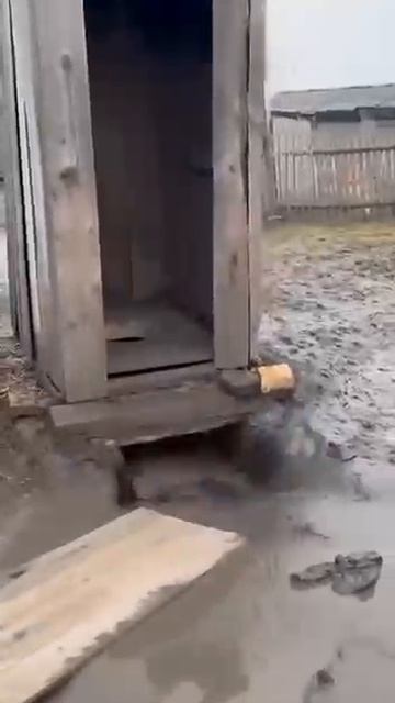 Не выдержал смотреть онлайн
