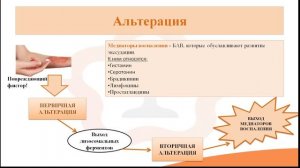 Видео-лекция №26.1. Воспаление