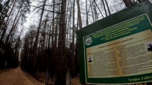 Тимирязевский парк. Велопрогулка  10.11.25