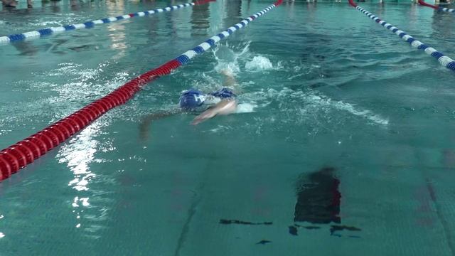 «День кролиста» провели в ФОК «Новое Пушкино» смотреть онлайн