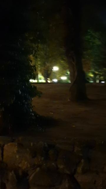 Приморский бульвар в Севастополе поздним вечером. смотреть онлайн