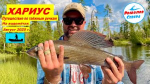КРУПНЫЙ ХАРИУС НА ТАЁЖНЫХ РЕКАХ АРХАНГЕЛЬСКОЙ ОБЛАСТИ.  ПУТЕШЕСТВИЕ НА ВОДОМЁТАХ. #Рыболов_севера