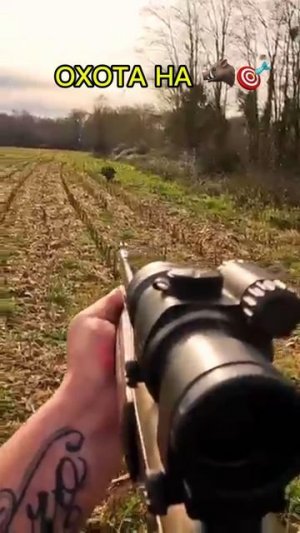 Охота на Кабана 🐗🎯 #охота