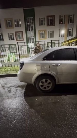 В Питере женщина спустила собаку на мужчину, сделавшего ей замечание