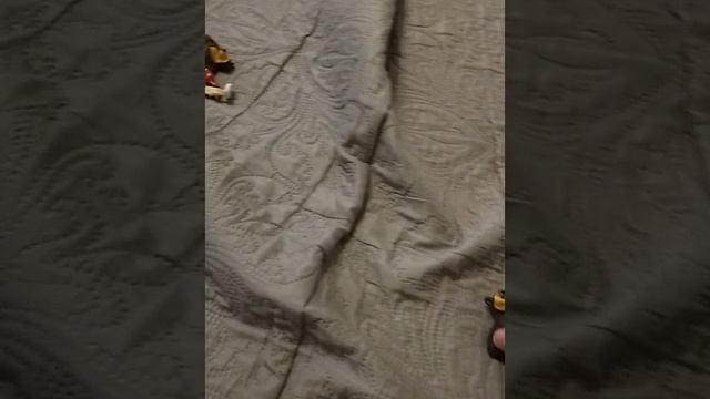 Маша и медведь кто не спрятался я не виноват смотреть онлайн