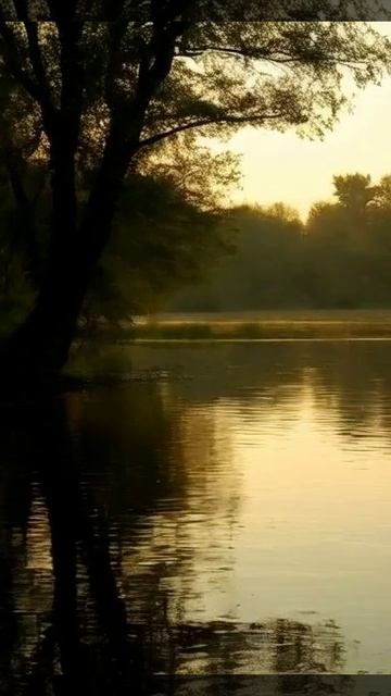 #Футаж #видеомонтаж - природа, вода, река, пруд, закат, рябь на воде