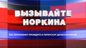 ВЫЗЫВАЙТЕ НОРКИНА 1 ВЫПУСК