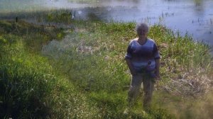 Н.Бучинская- За синими туманами.