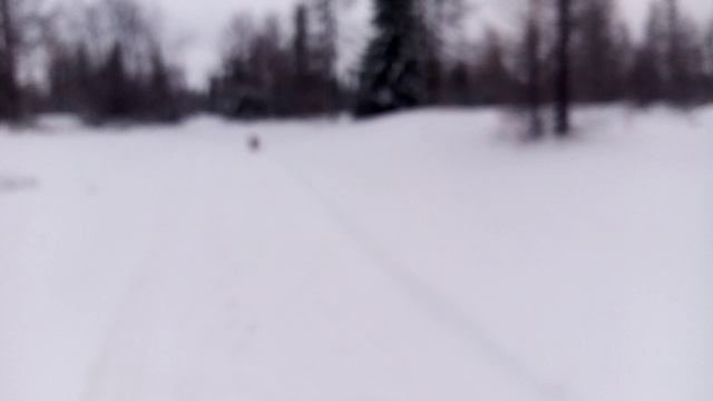 Зима уже в разгаре смотреть онлайн