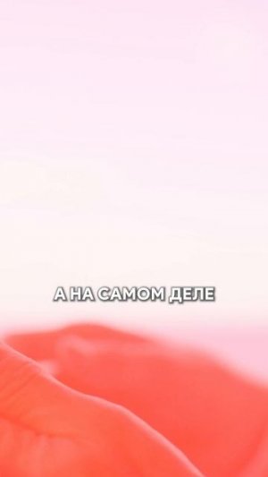 Вас могут ВЫСЕЛИТЬ за 1 минуту?! #арендаквартиры #квартира #недвижимость