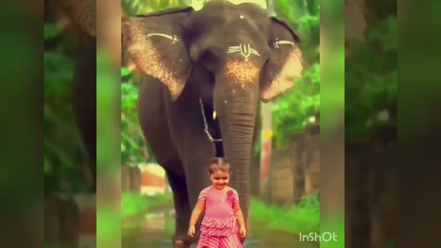 Малыш и слоненок гуляют вместе.