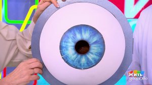 Мушки в глазах: сигнал отслойки. Жить здорово! Фрагмент выпуска от 11.11.2025