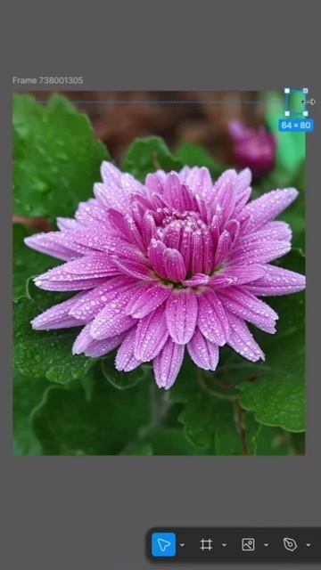 Веб-дизайн постера