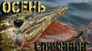 ПРОЕ...Л ТОПОВЫЙ ВОБЛЕР! Ловля щуки на спиннинг осенью 2025