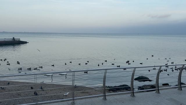 КРЫМ 2025 | ФЕОДОСИЯ, ОРДЖО | 10 ноября ❤️🌊⛰️🏄🏖️☀️🐬 смотреть онлайн