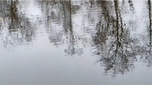 Уже ноябрь и мы снова на даче