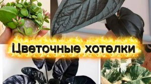 Цветочные хотелки, которые уже есть в моей коллекции,  и о которых я пока только мечтаю
