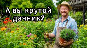 Тест. На сколько вы дачник? Смешные вопросы