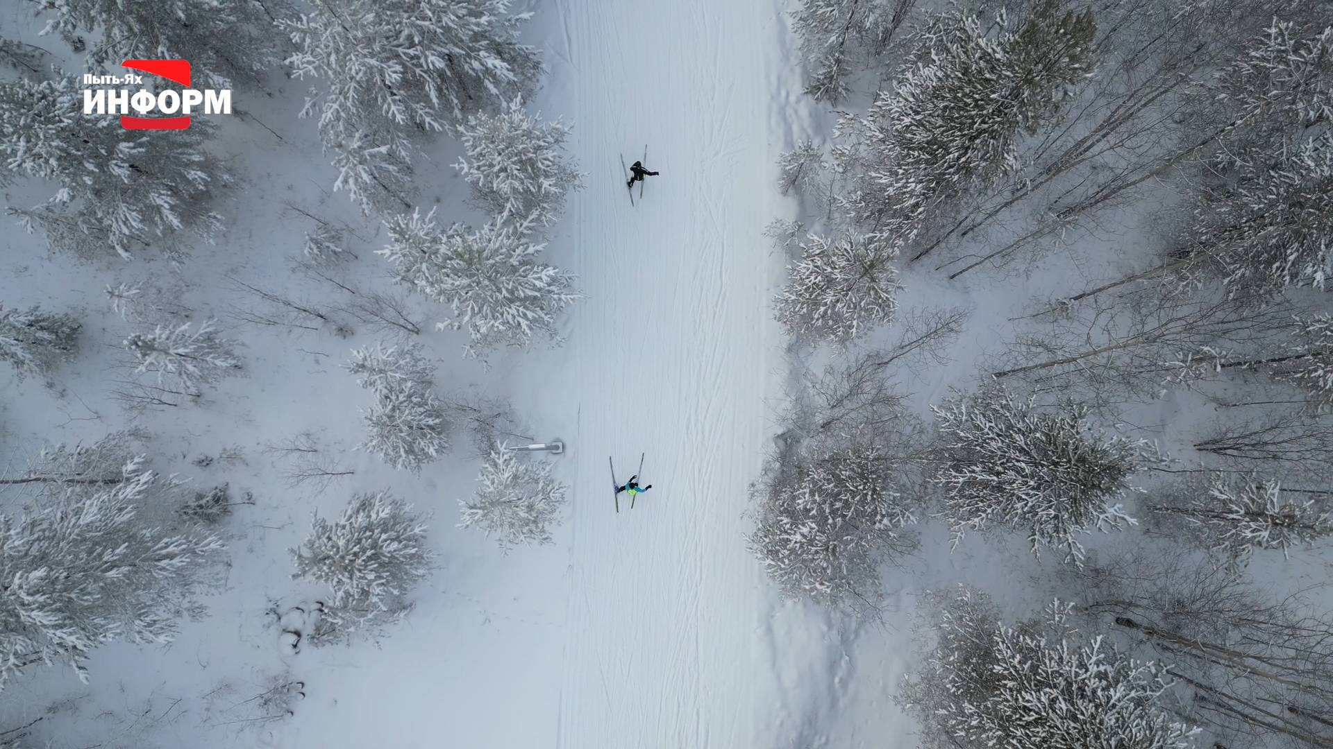Лыжероллерная трасса – не место для пеших прогулок! смотреть онлайн