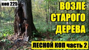 ПРОДОЛЖЕНИЕ, КАК  Я УЖЕ СО СЧЕТУ СБИЛСЯ ИХ СЧИТАТЬ. коп 225