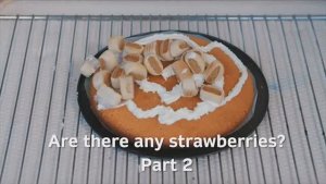 Go Getter 2, Unit 2.2,  Video 9, p.24, Are there any strawberries? Part 2