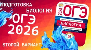 ОГЭ Разбор сборника Рохлова 2 вариант