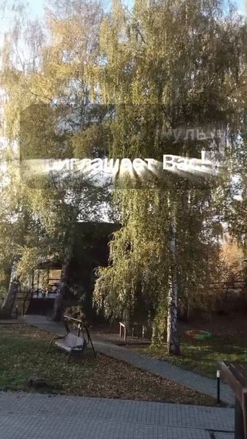 29.10.25