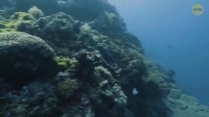 Подо льдами Антарктиды нашли нечто, что не должно существовать