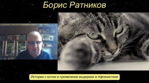 Борис Ратников - История с котом и проявление выдержки в Афганистане.