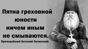 Пятна греховной юности ничем иным не смываются. Преподобный Антоний Оптинский.