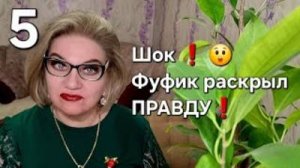 ШОК❗️ 😲 Фуфик раскрыл ПРАВДУ❗️