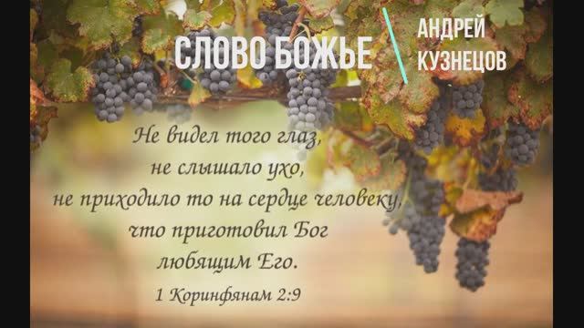 СЛОВО БОЖЬЕ | Андрей Кузнецов