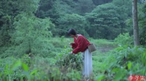 САДЫ КИТАЯ ЯГОДНОЕ МОРОЖЕННОЕ   "Лизики Чанне"l ИЗ ЯГОД ЧАСТНОГО САДА