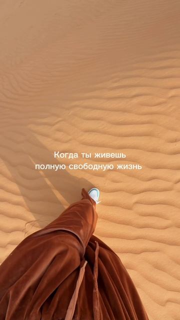 В этом моя свобода смотреть онлайн