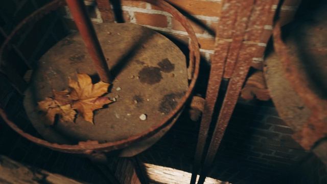 Романтический Калининград (Монеточка)