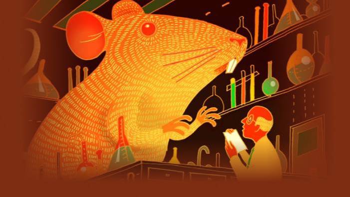 Стратегия Кали : Чего хочет женщина